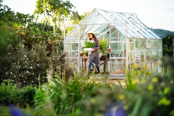 Bâche pour serre : maximisez la protection de vos plantes