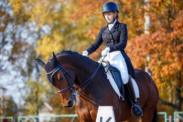 Les erreurs courantes à éviter lors du dressage d'une table à la française.