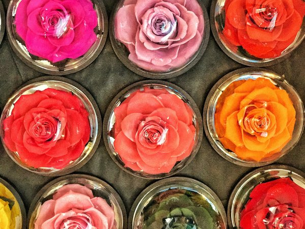 Roses éternelles : significations et les bonnes raisons d'en offrir à vos proches